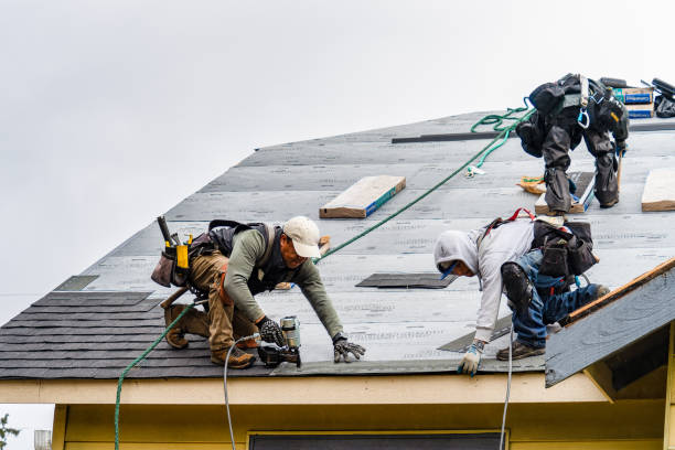 Professional Gutter Installation technician working in Belvidere, NC